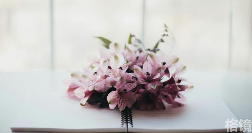 格镜视频转换文字,格镜视频提取音频,格镜视频提取文案,格镜视频提取软件,格镜视频替换